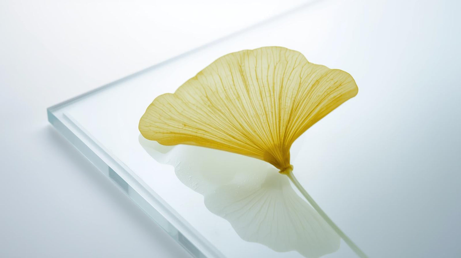 The effects of acute doses of standardized Ginkgo biloba extract on memory and psychomotor performance in volunteers