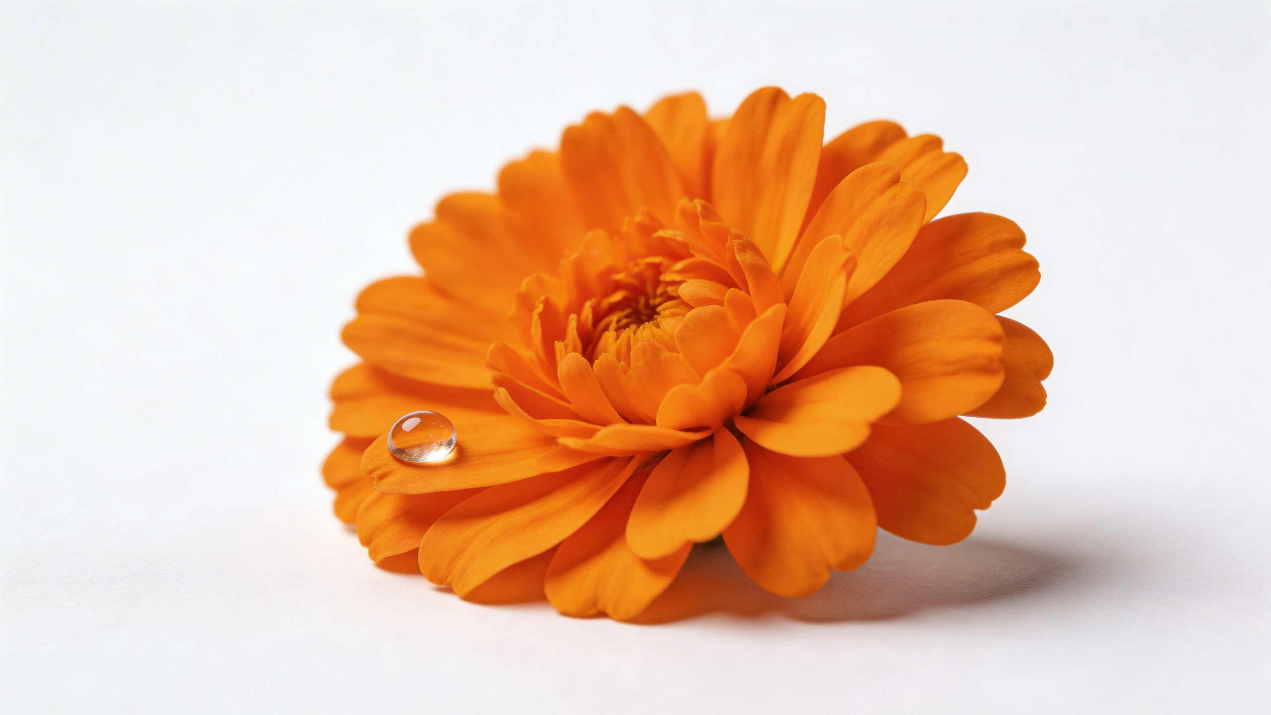 AREDS/AREDS2 Clinical Trials